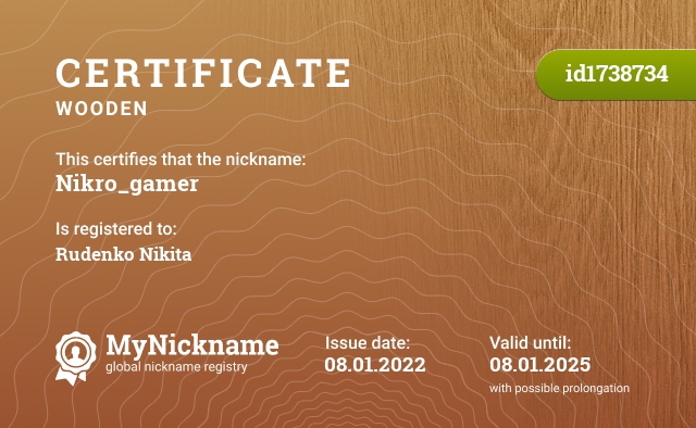 Certificate for nickname Nikro_gamer, registered to: Руденко Никиты